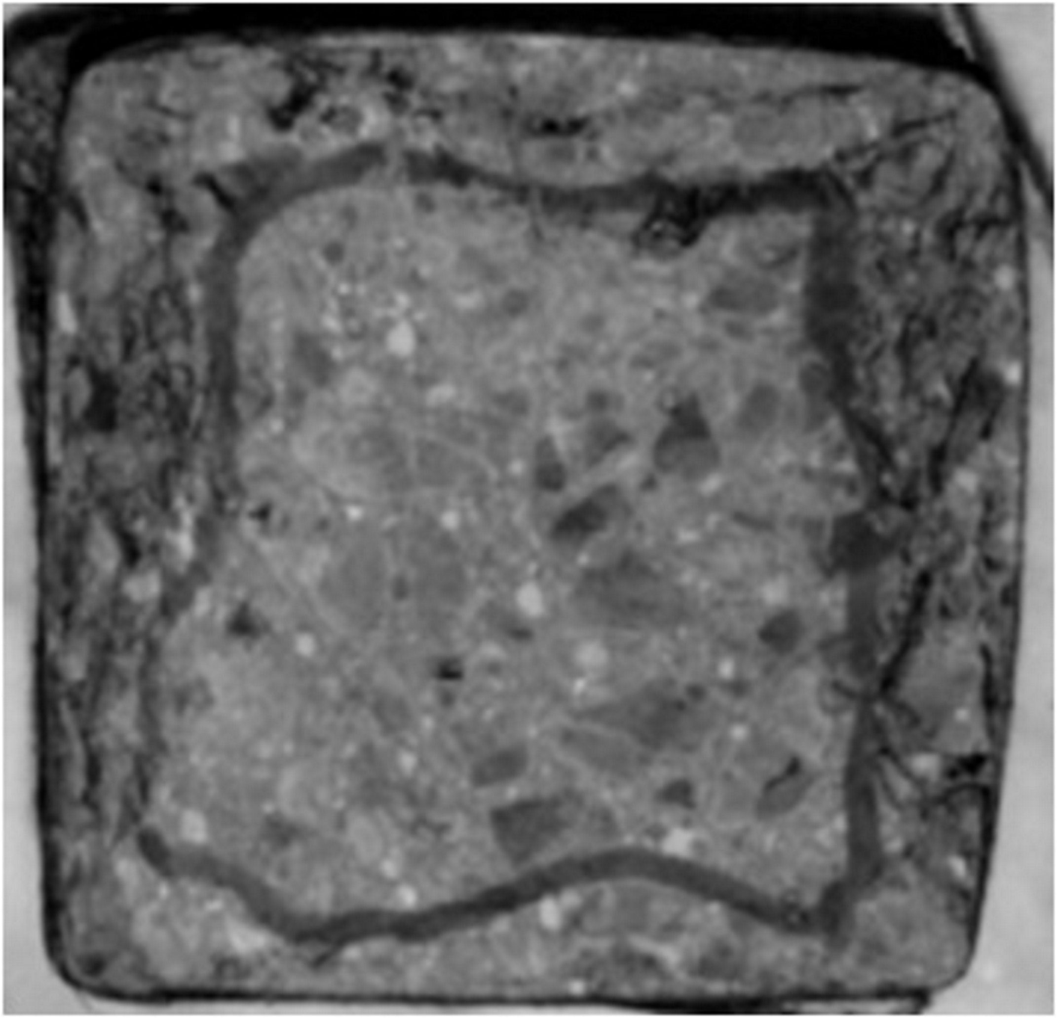 Προσομοίωση της Περίσφιγξης Ορθογωνικών Διατομών Οπλισμένου Σκυροδέματος με Ινοπλισμένα Πολυμερή